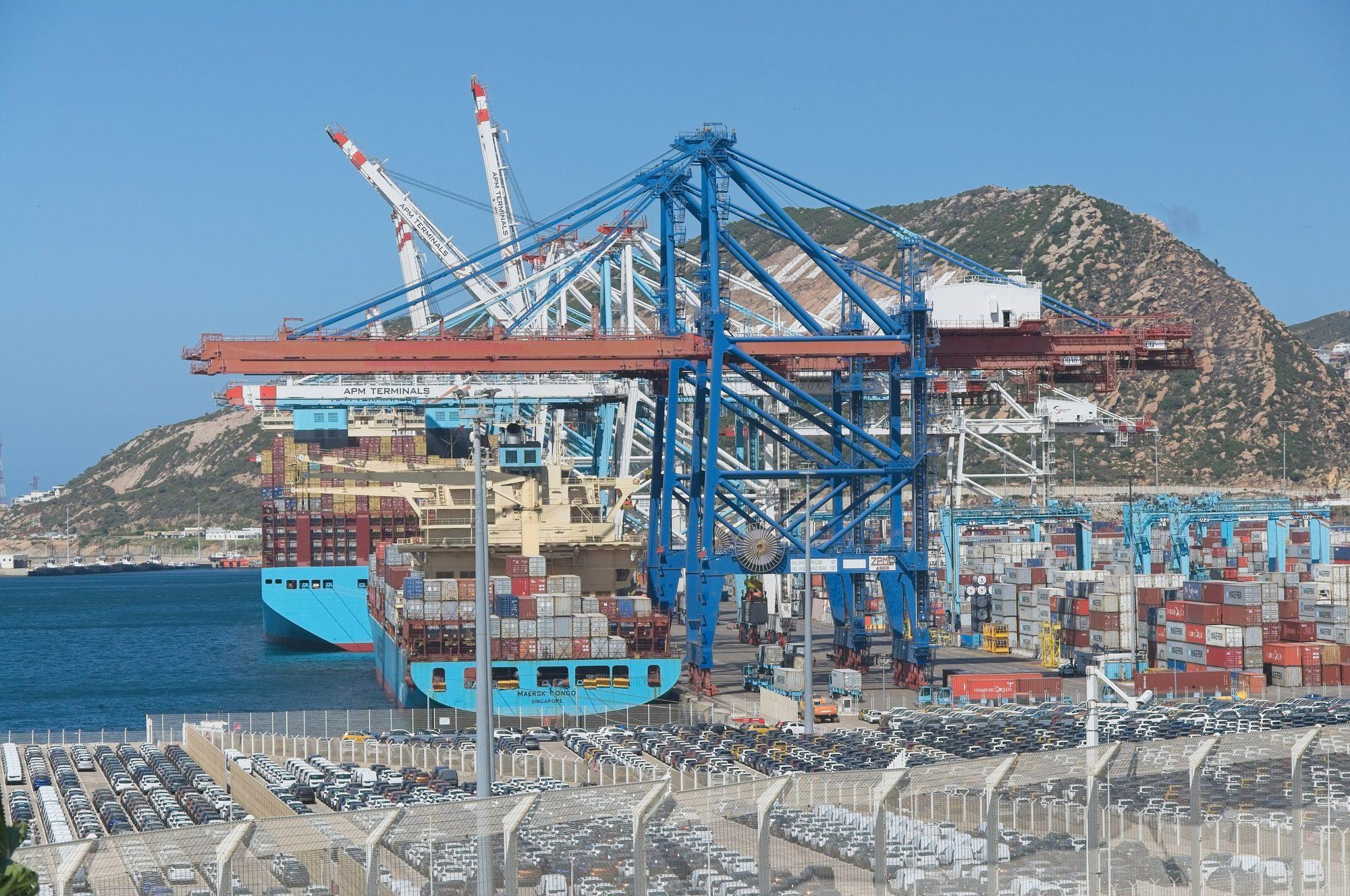 Container terminal cranes at a working port